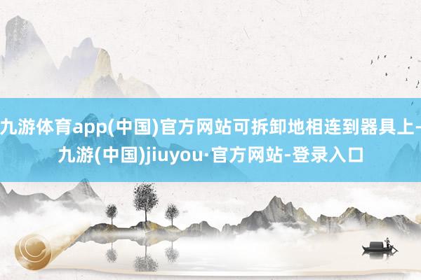 九游体育app(中国)官方网站可拆卸地相连到器具上-九游(中国)jiuyou·官方网站-登录入口