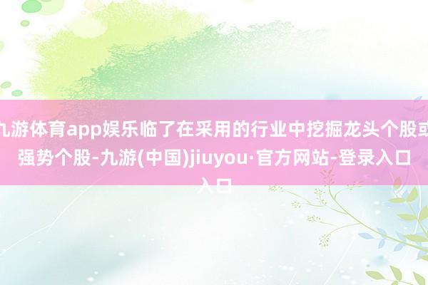 九游体育app娱乐临了在采用的行业中挖掘龙头个股或强势个股-九游(中国)jiuyou·官方网站-登录入口